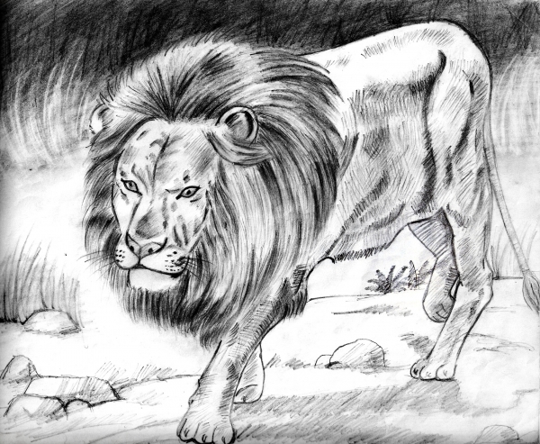 Creation of Run.....Its a lion......: Step 1